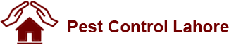 Pest Control In Lahore