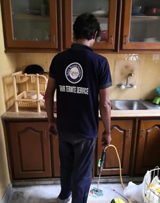 Pest Control in Lahore