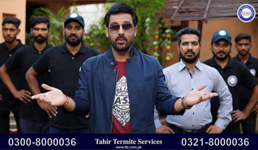 Tahir Termite Service